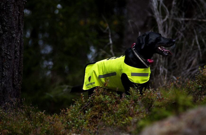 Skyddsväst hund