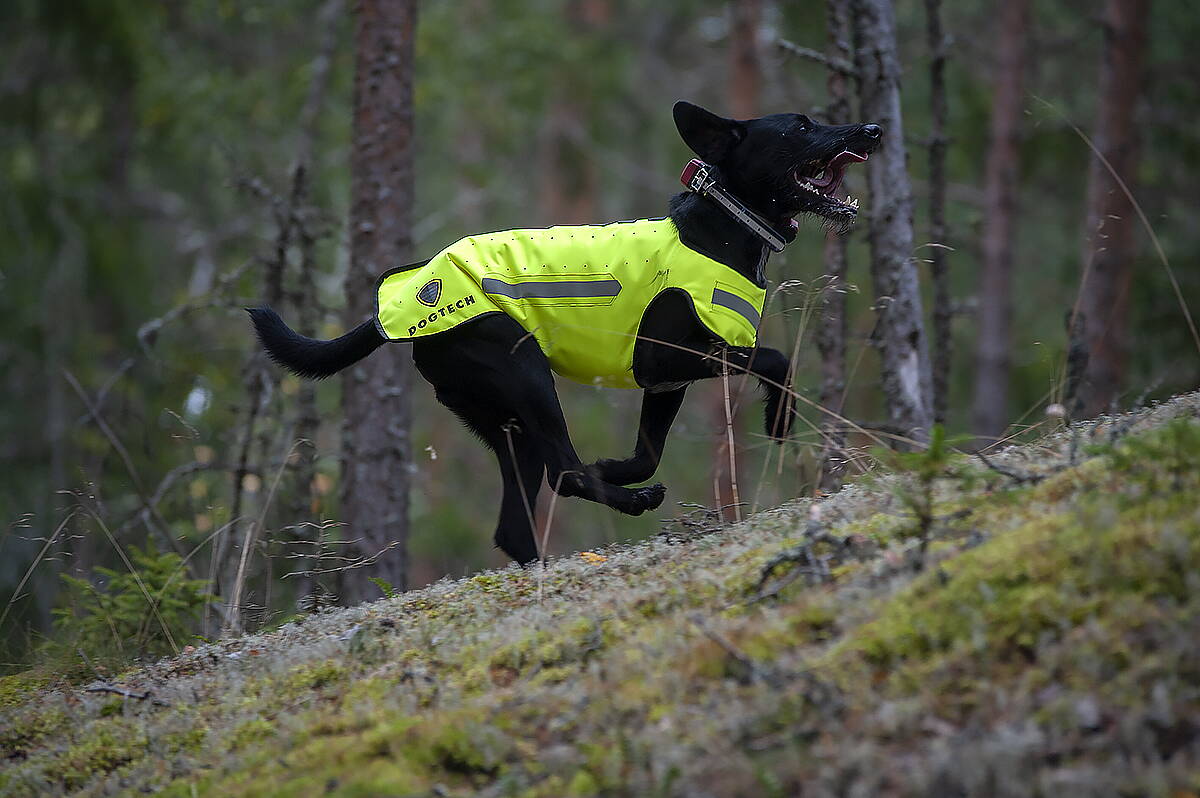 Skyddsväst hund varg