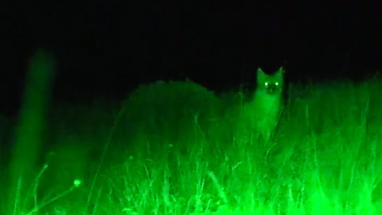 Eftersökslampa grön