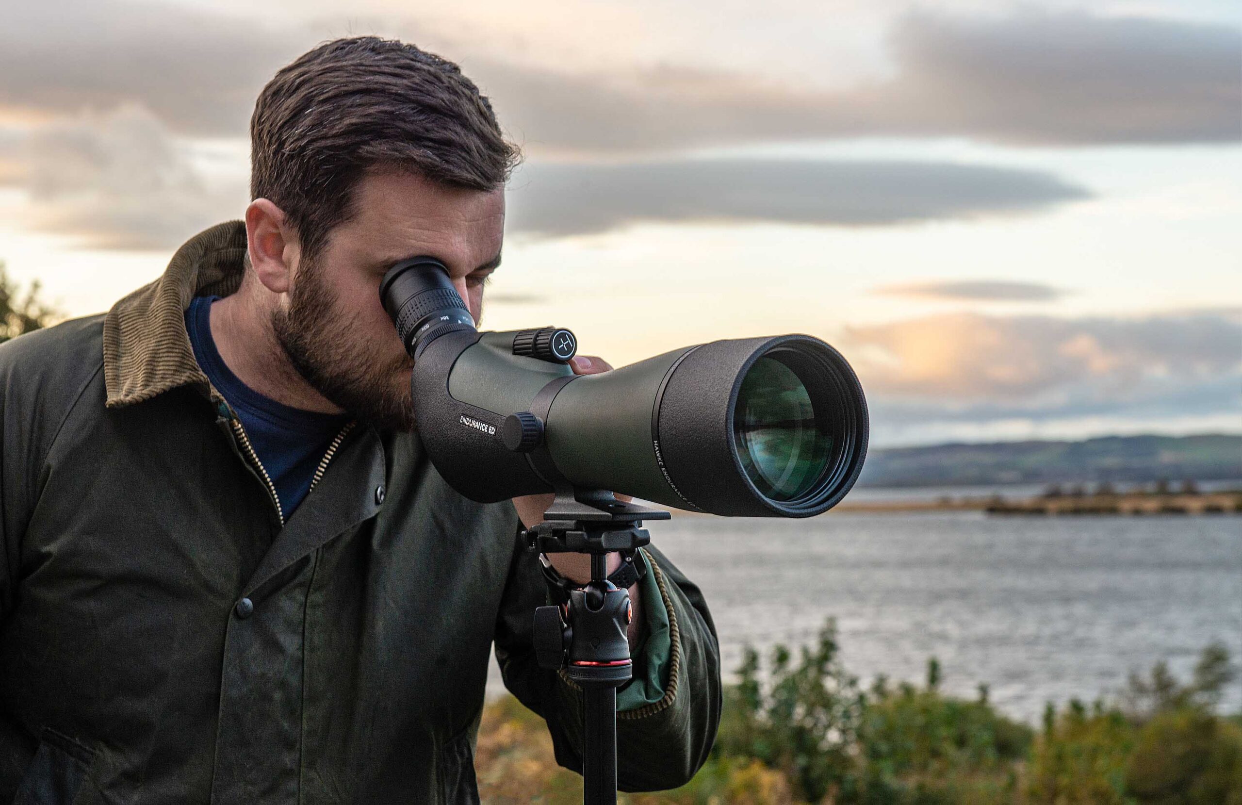Tubkikare fågelskådning